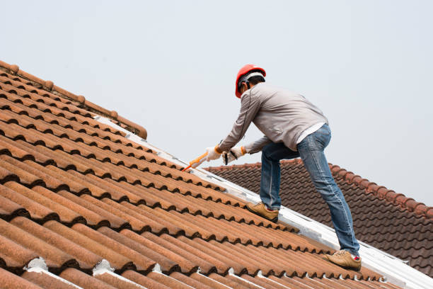 Best Metal Roofing Installation  in Solomon, KS