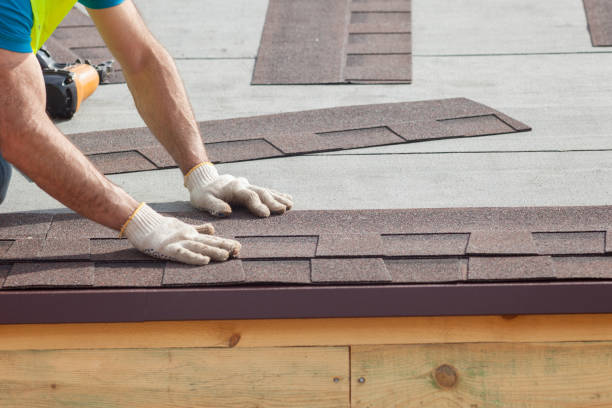 Best Roof Moss and Algae Removal  in Solomon, KS