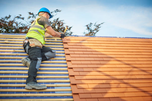 Best Chimney Flashing Repair  in Solomon, KS